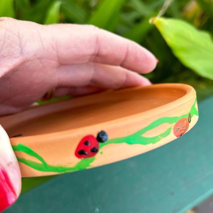 Butterfly Watering Station Hand Painted Terra Cotta Bee Waterer with Ladybug Design