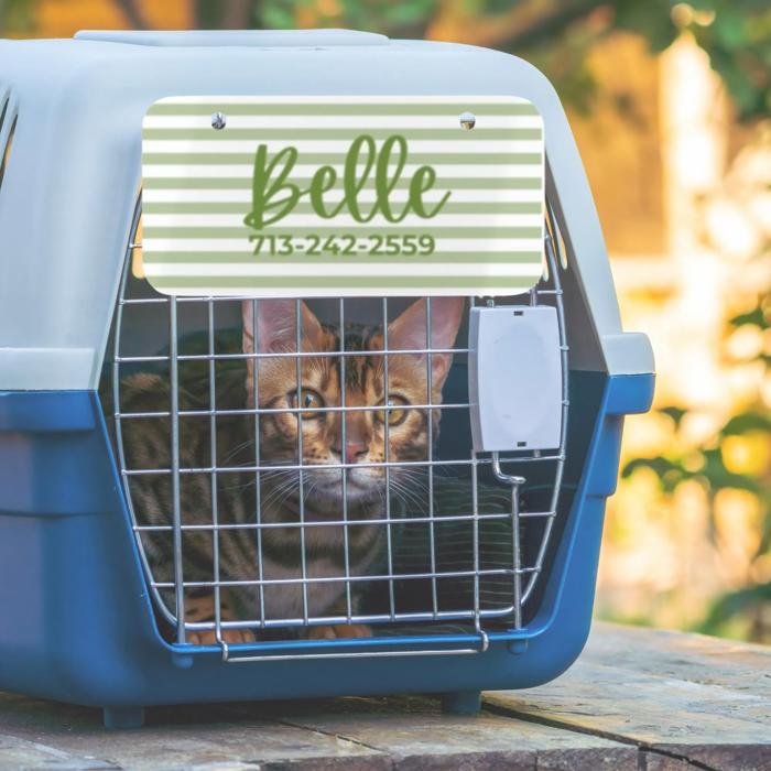 Custom Pet Kennel Name Tag, Personalized Crate Plate for Dogs or Cats, Great for Boarding Vet Visits Travel Carriers, New Pet Parent Gift