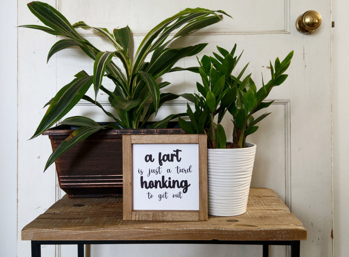 Hilarious Bathroom Mini Signs