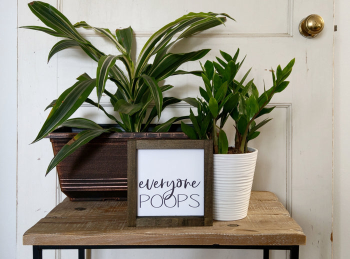 Everyone Poops - Mini Sign