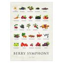 20 x 28 inches Simon Holst - Berry Symphony  Poster without frame