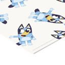 20 x 28 inches Bluey - Bluey Pattern  Poster without frame