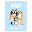 20 x 28 inches Bluey - Family For Real Life  Poster without frame
