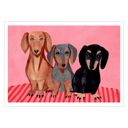 12 x 16 inches Iga Kosicka - Dachshunds  Poster  without frame