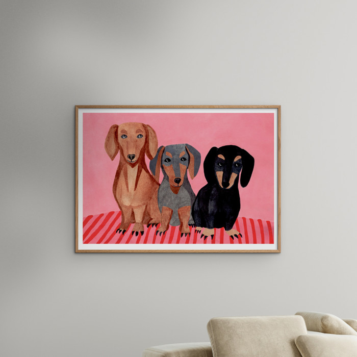 Iga Kosicka - Dachshunds  Poster  without frame