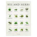  Simon Holst - His and herbs  Poster  without frame