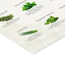  Simon Holst - His and herbs  Poster  without frame