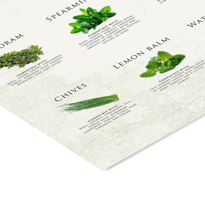 Simon Holst - His and herbs  Poster  without frame