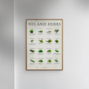 30 x 40 inches Simon Holst - His and herbs  Poster  without frame