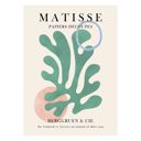20 x 28 inches Vitor Costa - Matisse floral Poster 6  Poster  without frame