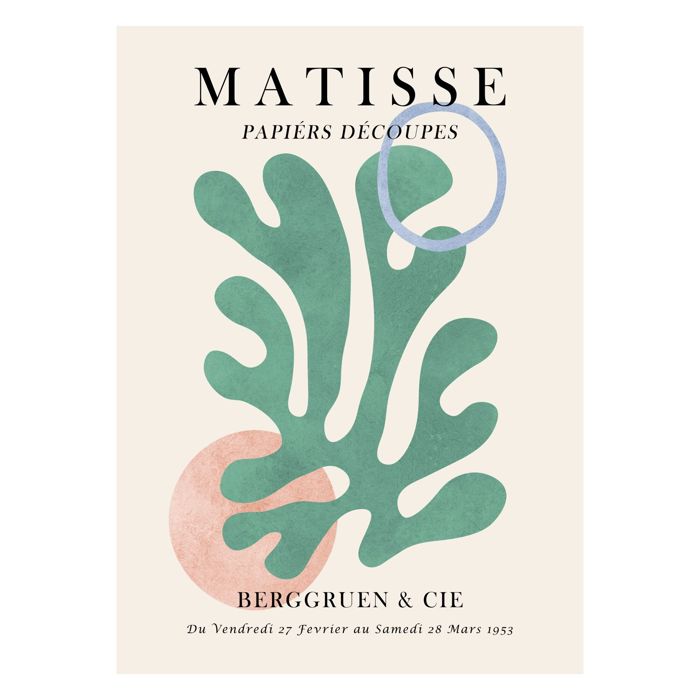 Vitor Costa - Matisse floral Poster 6  Poster  without frame