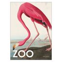 30 x 40 inches A.P. Atelier - The Zoo Collection — Pink Flamingo — Edt. 002  Poster  without frame