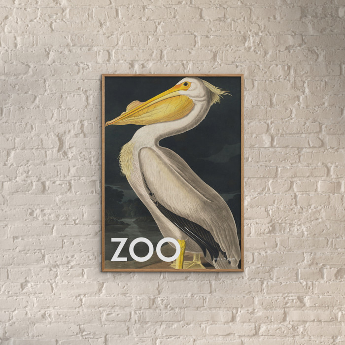 A.P. Atelier - The Zoo Collection — White Pelican — Edt. 002  Poster  without frame