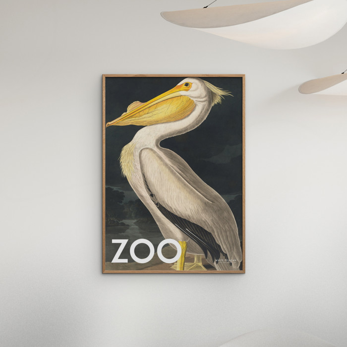 A.P. Atelier - The Zoo Collection — White Pelican — Edt. 002  Poster  without frame