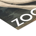 20 x 28 inches A.P. Atelier - The Zoo Collection — White Pelican — Edt. 002  Poster  without frame