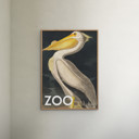 20 x 28 inches A.P. Atelier - The Zoo Collection — White Pelican — Edt. 002  Poster  without frame