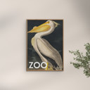 30 x 40 inches A.P. Atelier - The Zoo Collection — White Pelican — Edt. 002  Poster  without frame