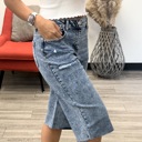 Dark Wash Medium Adi Distressed Jorts