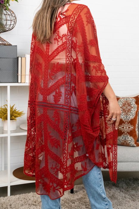 Emily Embroidered Mesh Kimono / Kimonos boho chic Cover-up