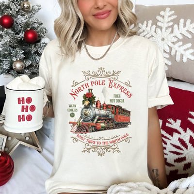 North Pole Express Vintage Christmas Sign Artwork Cozy Winter Decor Inspired Comfort Colors Tee