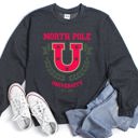 Small Dark Gray Heather North Pole University Retro Christmas Festive Winter Seasonal Graphic Sweatshirt