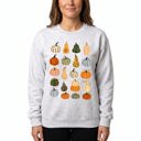  Colorful Pumpkins, Fall Harvest, Autumn Season Sweatshirt