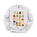 XXL Ash Light Gray Colorful Pumpkins, Fall Harvest, Autumn Season Sweatshirt