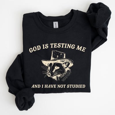 God Is Testing Me Opossum Possum Graphic Expression Of Faith Wit And Southern Charm Sweatshirt