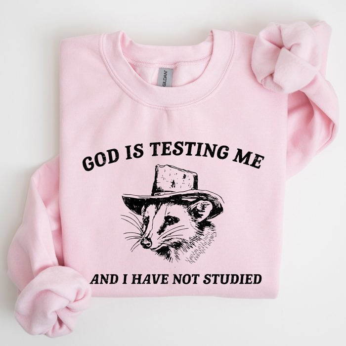 God Is Testing Me Opossum Possum Graphic Expression Of Faith Wit And Southern Charm Sweatshirt