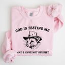  God Is Testing Me Opossum Possum Graphic Expression Of Faith Wit And Southern Charm Sweatshirt