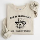 Large Sand God Is Testing Me Opossum Possum Graphic Expression Of Faith Wit And Southern Charm Sweatshirt
