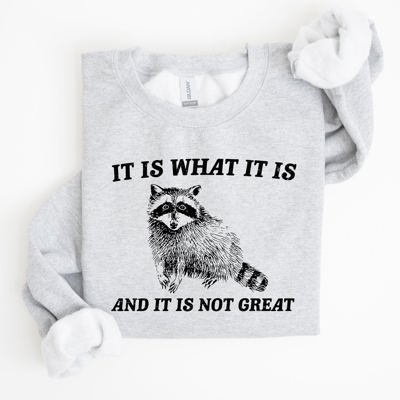 It Is What It Is And It Is Not Great Raccoon Funny Limited Edition Comfort Colors Everyday Casual Wear Sweatshirt