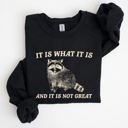  It Is What It Is And It Is Not Great Raccoon Funny Limited Edition Comfort Colors Everyday Casual Wear Sweatshirt