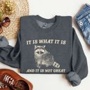  It Is What It Is And It Is Not Great Raccoon Funny Limited Edition Comfort Colors Everyday Casual Wear Sweatshirt