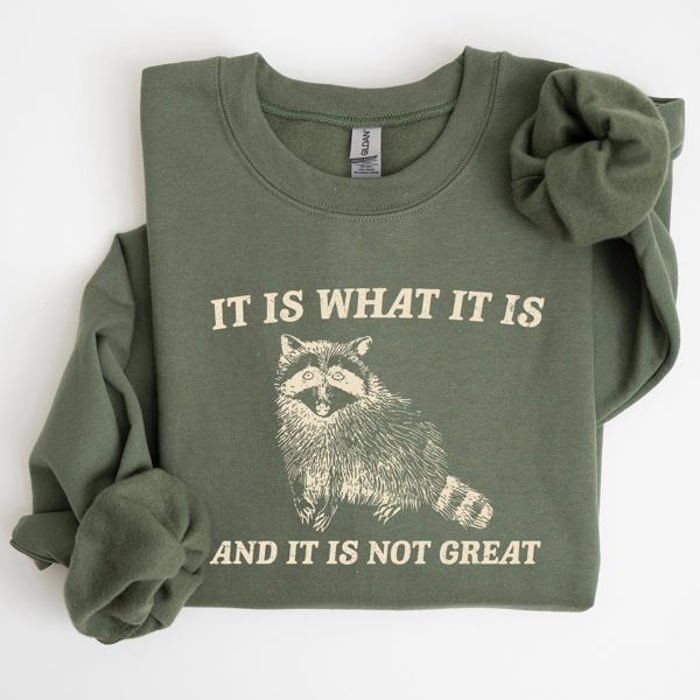 It Is What It Is And It Is Not Great Raccoon Funny Limited Edition Comfort Colors Everyday Casual Wear Sweatshirt