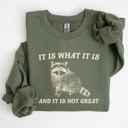  It Is What It Is And It Is Not Great Raccoon Funny Limited Edition Comfort Colors Everyday Casual Wear Sweatshirt