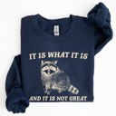  It Is What It Is And It Is Not Great Raccoon Funny Limited Edition Comfort Colors Everyday Casual Wear Sweatshirt