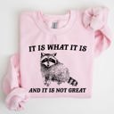  It Is What It Is And It Is Not Great Raccoon Funny Limited Edition Comfort Colors Everyday Casual Wear Sweatshirt
