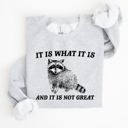 Medium Ash Light Gray It Is What It Is And It Is Not Great Raccoon Funny Limited Edition Comfort Colors Everyday Casual Wear Sweatshirt