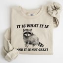 Small Sand It Is What It Is And It Is Not Great Raccoon Funny Limited Edition Comfort Colors Everyday Casual Wear Sweatshirt
