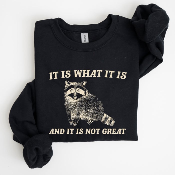 It Is What It Is And It Is Not Great Raccoon Funny Limited Edition Comfort Colors Everyday Casual Wear Sweatshirt