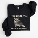 Small Black It Is What It Is And It Is Not Great Raccoon Funny Limited Edition Comfort Colors Everyday Casual Wear Sweatshirt