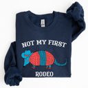  Not My First Rodeo, Cute Armadillo Graphic Illustration for Everyday Comfort Sweatshirt