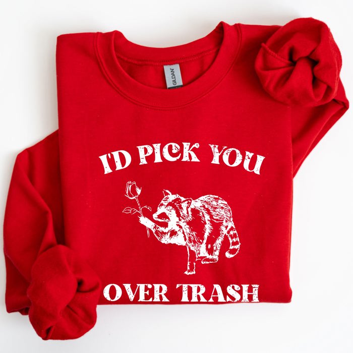 I'd Pick You Over Trash, Raccoon Graphic Sweatshirt