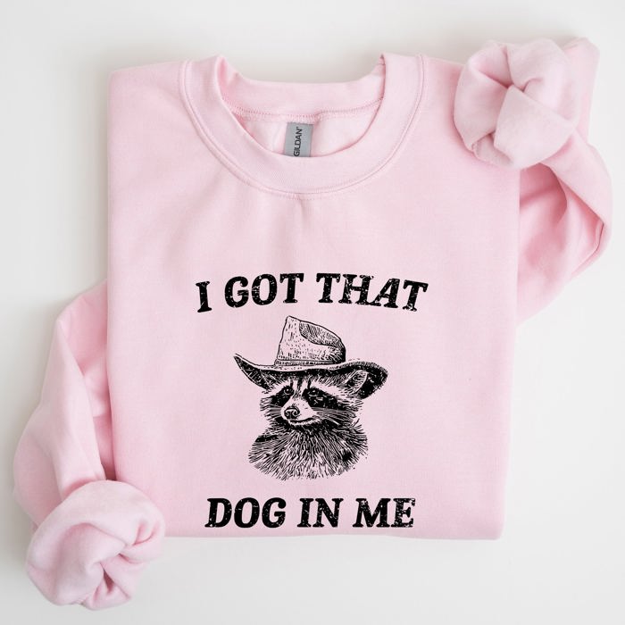 I Got That Dog In Me Raccoon Meme Laughing At The Internet Everyday Today Sweatshirt