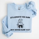 Small Light Blue It's Always Yee Haw Bear Meme Aesthetic Funny Graphic Cozy Vintage Style Sweatshirt