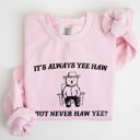 XXXL Light Pink It's Always Yee Haw Bear Meme Aesthetic Funny Graphic Cozy Vintage Style Sweatshirt