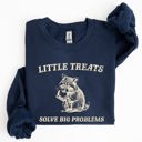  Little Treats Solve Big Problems Raccoon Meme Aesthetic Funny Edition Sweatshirt
