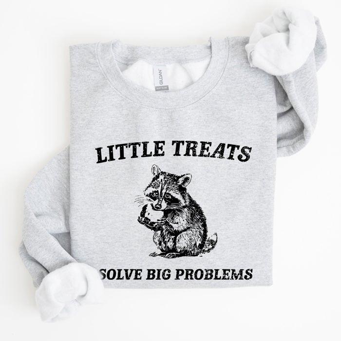 Little Treats Solve Big Problems Raccoon Meme Aesthetic Funny Edition Sweatshirt