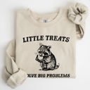 Small Sand Little Treats Solve Big Problems Raccoon Meme Aesthetic Funny Edition Sweatshirt